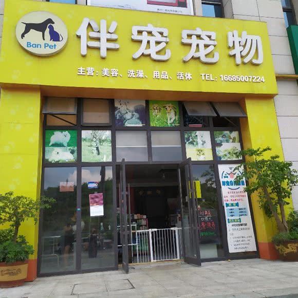 伴宠宠物大学城店:贵阳市花溪区大学城附近