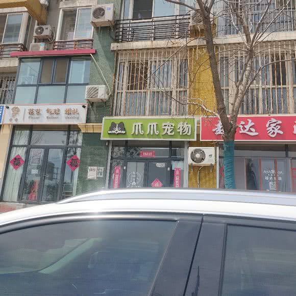 爪子爪宠物:石家庄市裕华区东开发区附近