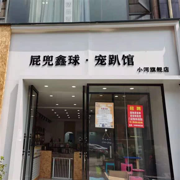 屁兜鑫球宠趴馆(小河店):贵阳市花溪区小河珠江路附近