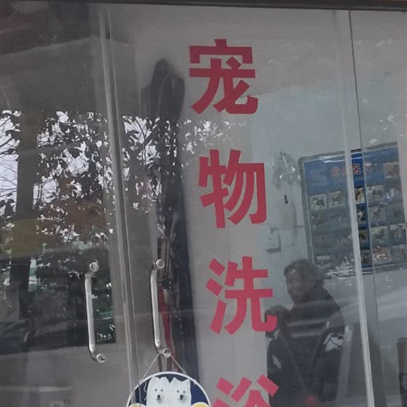 宠康动物诊所:贵阳市乌当区航天路附近