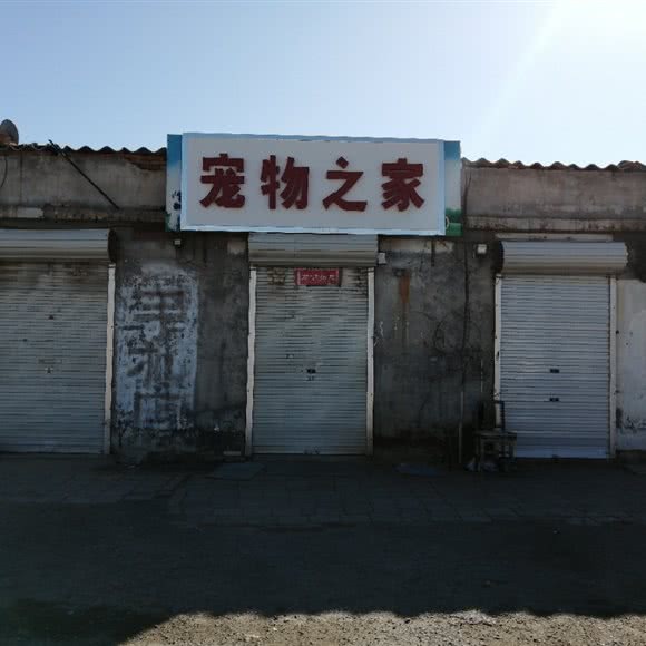宠物之家(学苑路店):石家庄市裕华区东开发区附近