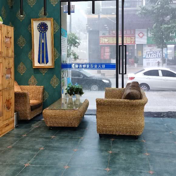 秋天童话宠物(乌当店):贵阳市乌当区新添寨附近