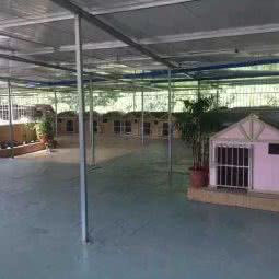 糖果宠物生活馆:贵阳市乌当区保利温泉新城附近