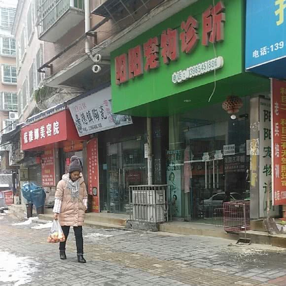 阳阳宠物美容:贵阳市白云区白云南路附近