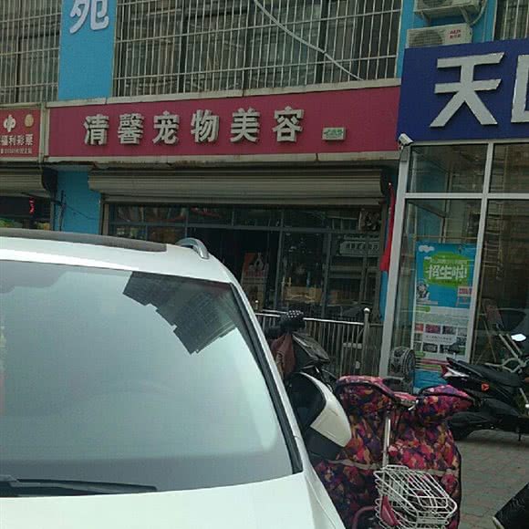 清馨宠物美容:石家庄市裕华区东开发区附近