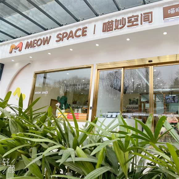 MEOW SPACE喵妙空间(金阳店):贵阳市观山湖区红街附近