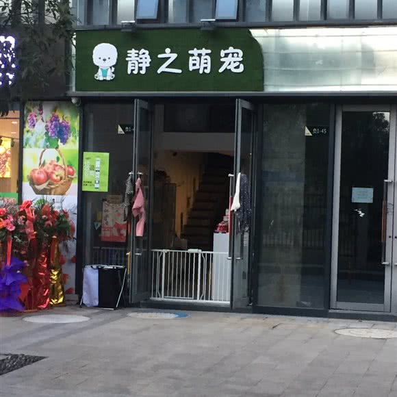 静之萌宠:贵阳市观山湖区会展中心附近