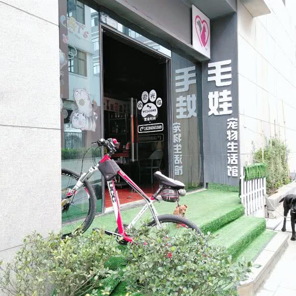 毛娃宠物生活馆:贵阳市观山湖区会展中心附近
