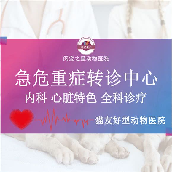 阅宠之星在动物医院:贵阳市观山湖区中铁逸都国际附近