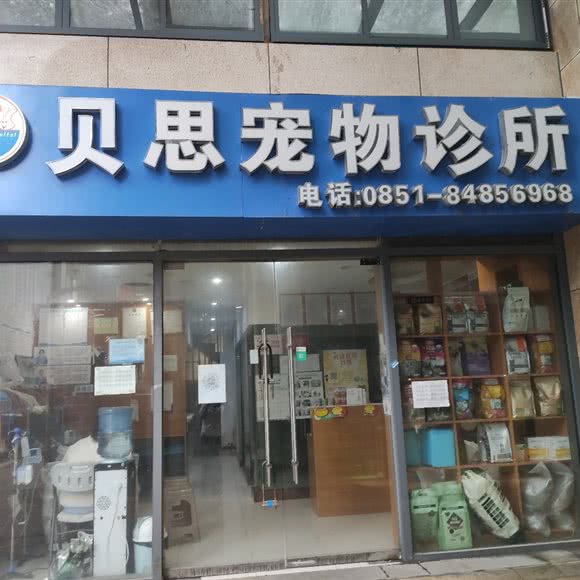 贝思宠物诊所:贵阳市观山湖区金阳新世界附近