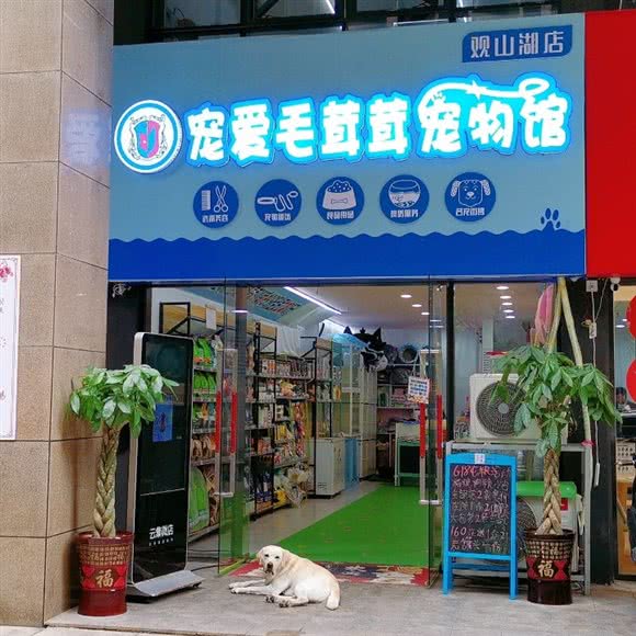 宠爱毛茸茸宠物馆:贵阳市观山湖区会展城附近