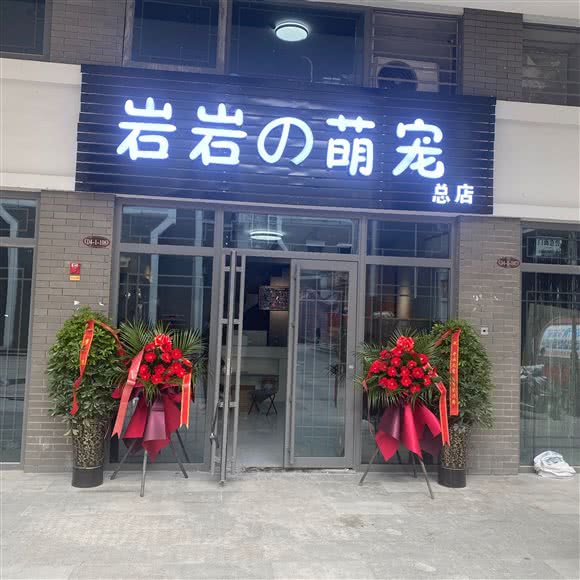 岩岩萌宠:贵阳市观山湖区合肥路附近