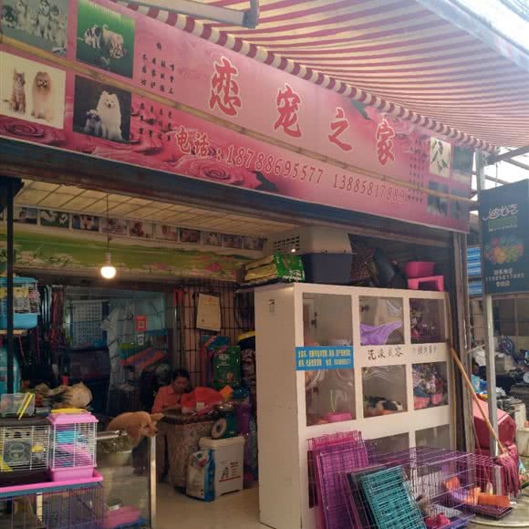 恋宠之家:六盘水市钟山区钟山大道附近