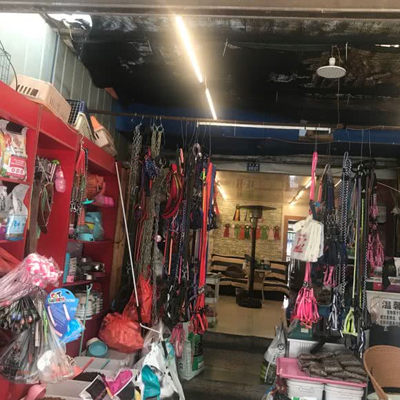 俊杰犬舍:六盘水市钟山区钟山大道附近