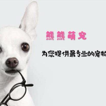 熊熊萌宠宠物店:六盘水市钟山区凤池园附近