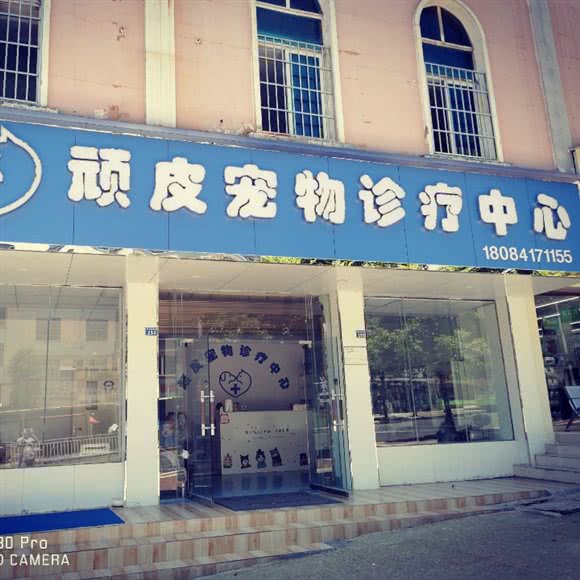 顽皮宠物诊疗中心:六盘水市钟山区钟山区政府附近