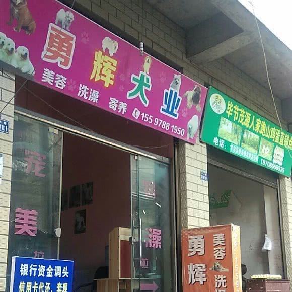 勇辉犬业:六盘水市钟山区尖山营附近