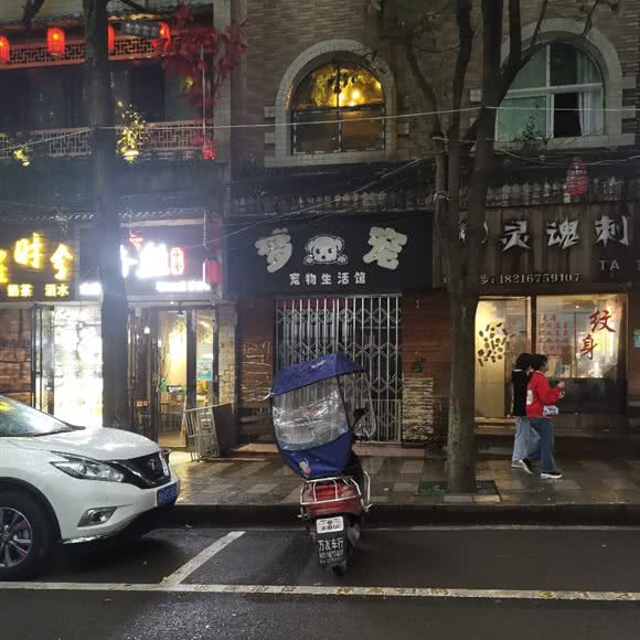 梦宠:六盘水市六枝特区桃花公园附近