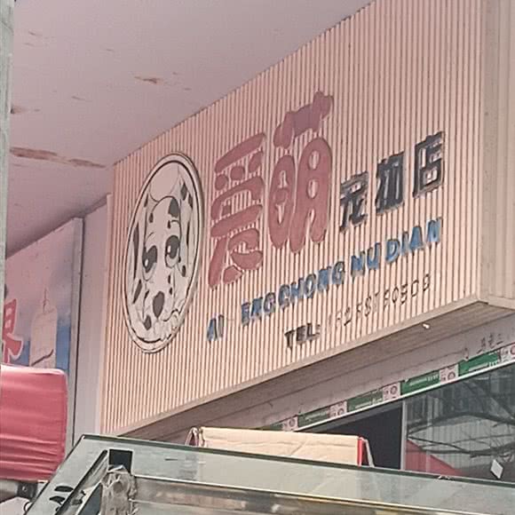 爱萌宠物店:六盘水市六枝特区桃花公园附近