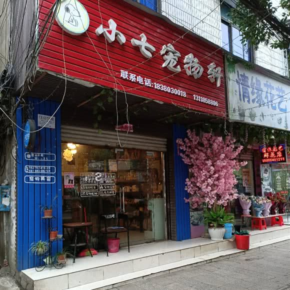 小七狗狗轩:六盘水市六枝特区泰华大厦附近