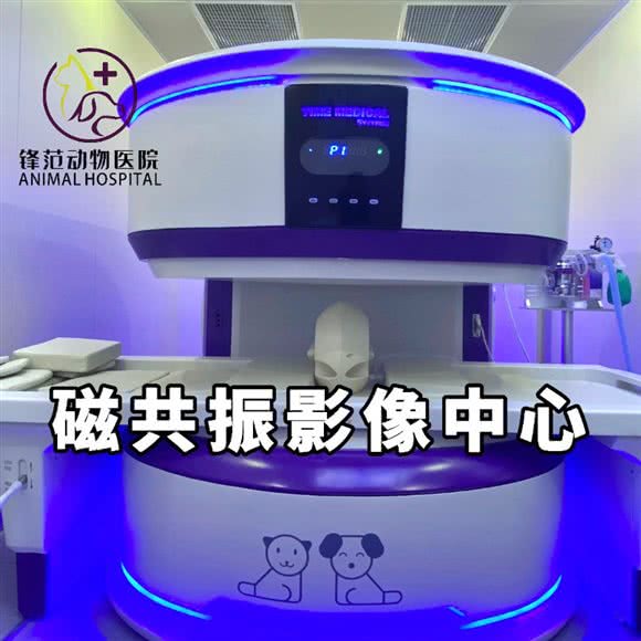 锋范动物医院·磁共振影像中心:石家庄市裕华区东开发区附近