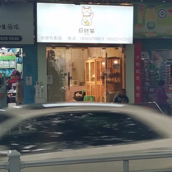 招财猫(凤凰南路店):遵义市红花岗区老城区附近
