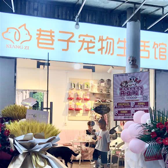 巷子宠物生活馆:遵义市红花岗区老城区附近