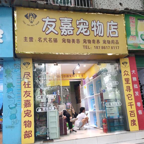 友嘉宠物店:遵义市红花岗区老城区附近