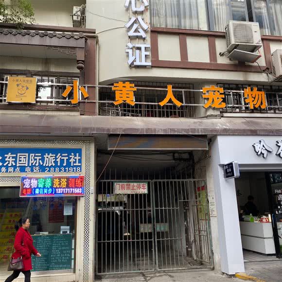 小黄人宠物:遵义市红花岗区老城区附近