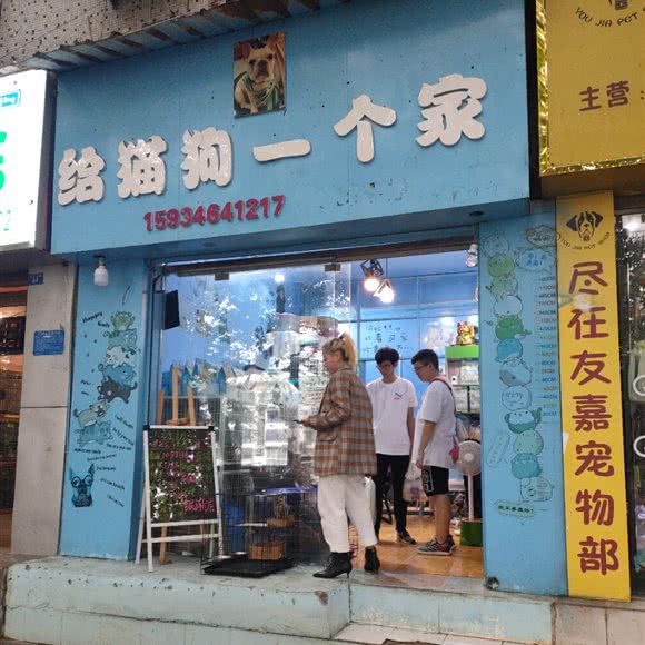 给猫狗一个家:遵义市红花岗区老城区附近