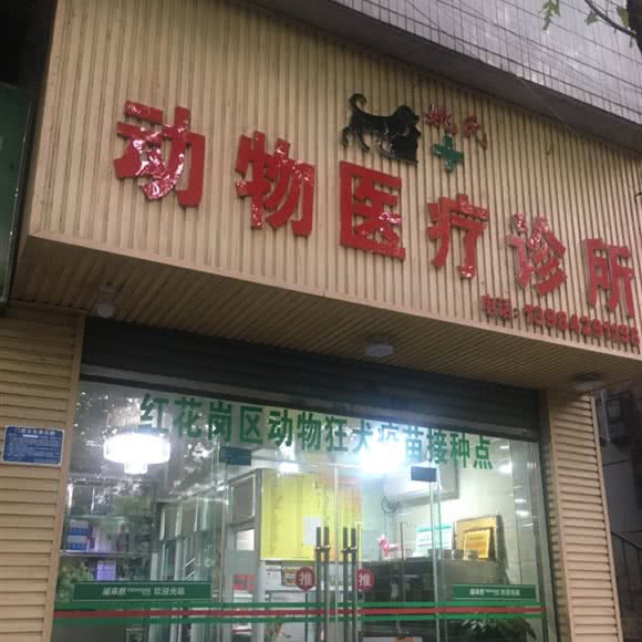 红花岗区动物狂犬疫苗接种点姚氏动物医疗诊所:遵义市红花岗区老城区附近
