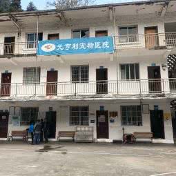 遵义市元亨利宠物医院:遵义市红花岗区老城区附近
