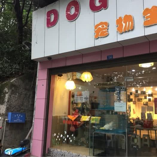 狗狗宠物生活馆:遵义市红花岗区新华路附近