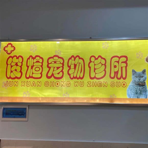 俊煊宠物诊所:遵义市红花岗区东欣大道附近