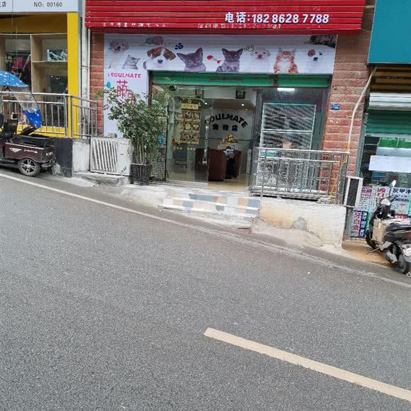 灵魂伴侣宠物生活馆:遵义市红花岗区海尔大道附近