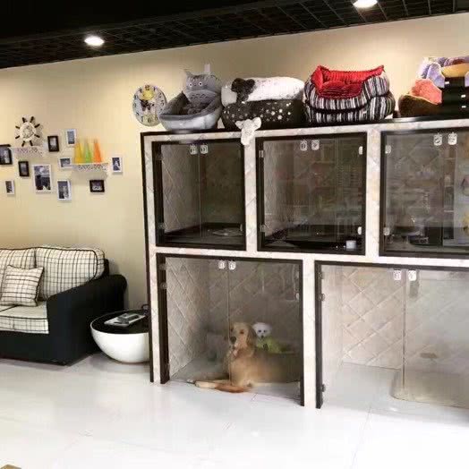 灯卡宠物生活馆:石家庄市裕华区红楼商圈附近