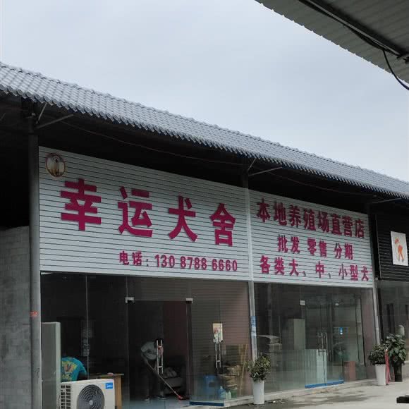 幸运犬舍:遵义市红花岗区海尔大道附近