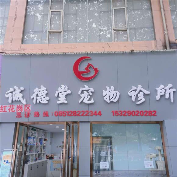 佳德宠物狗诊所:遵义市红花岗区海尔大道附近
