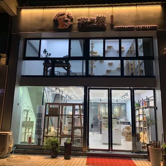 花与猫宠物之家:遵义市汇川区广州路附近