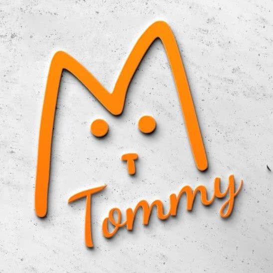 汤米宠物:遵义市汇川区人民路附近