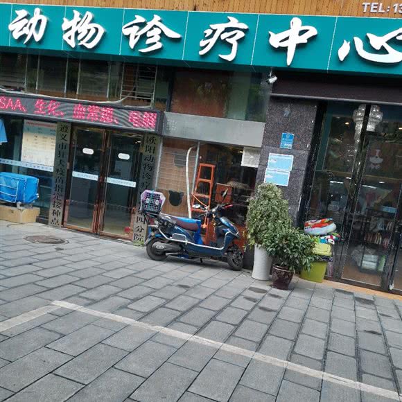 欧阳动物诊疗中心:遵义市汇川区人民路附近