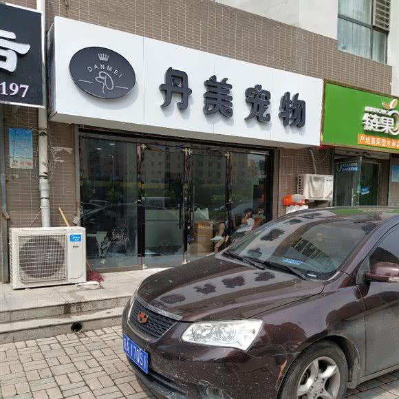 丹美宠物:石家庄市裕华区众美凤凰城附近