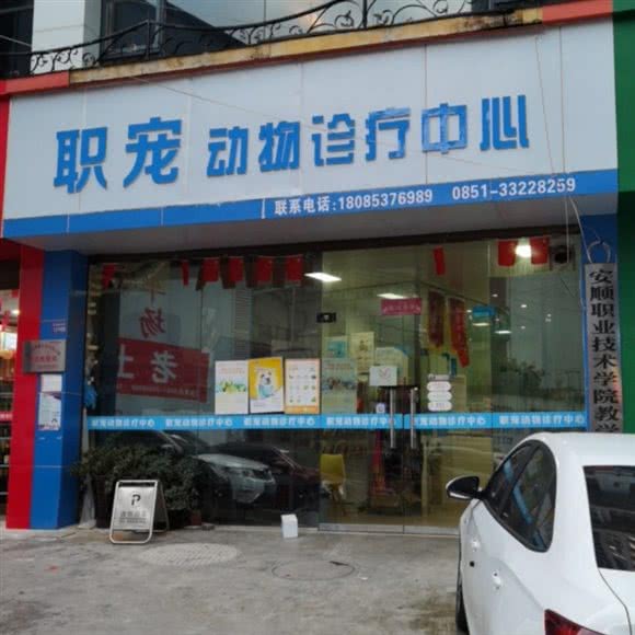 职宠动物诊疗中心:安顺市西秀区西秀新天地附近