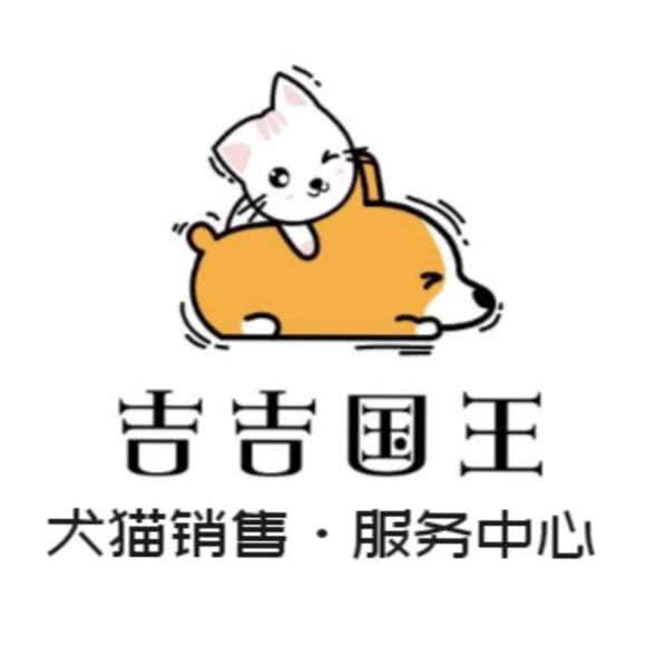 吉吉国王宠物犬猫一站式服务中心:安顺市西秀区若飞公园附近