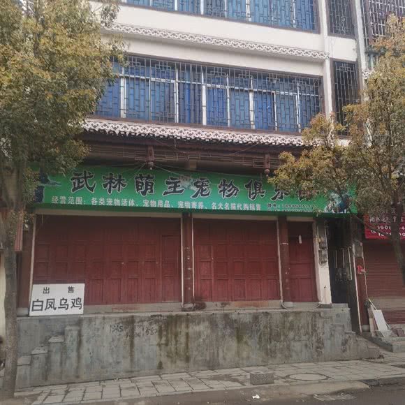 武林萌主宠物俱乐部:黔西南布依族苗族自治州兴仁市兴仁市附近