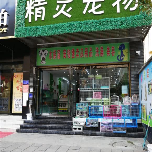 精灵宠物:黔西南布依族苗族自治州兴仁市兴仁市附近