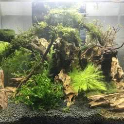 趣味微景:石家庄市裕华区众美凤凰城附近