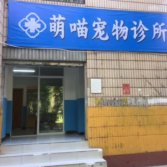 萌喵宠物诊所:昆明市五华区小菜园附近