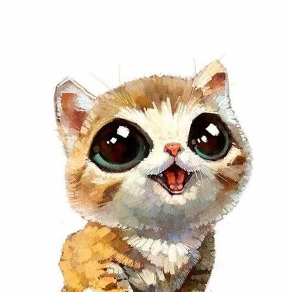 宠宠欲动宠物生活馆(美璟新城店):昆明市五华区霖雨路附近