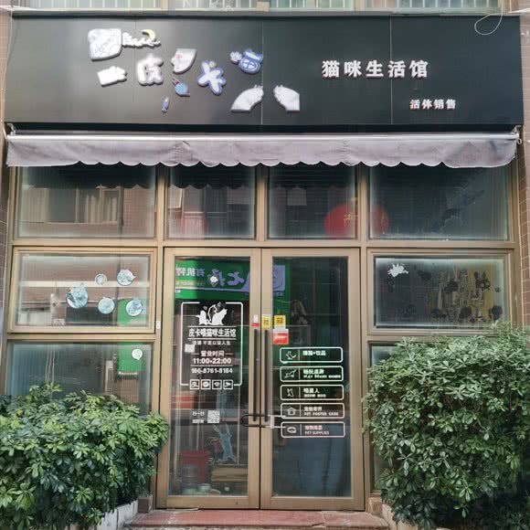 皮卡喵猫咪生活馆:昆明市五华区和谐世纪附近